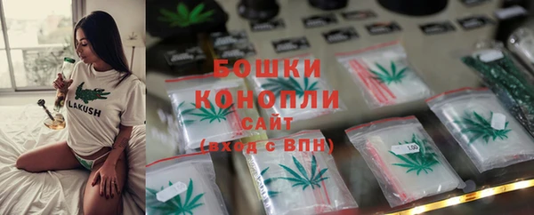 шишки Балахна