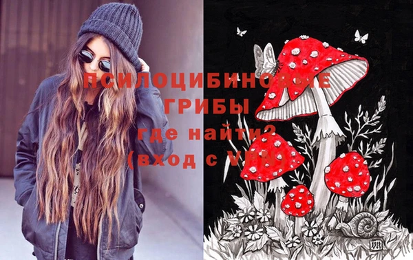 бошки Баксан