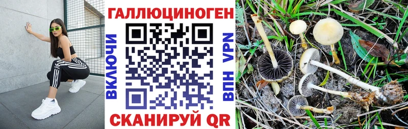Галлюциногенные грибы мицелий  как найти закладки  Волоколамск 